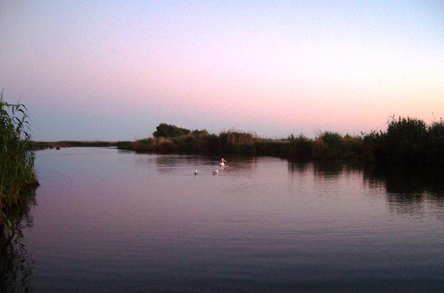 Doar ... NATURA  - 2 - sany6770.JPG